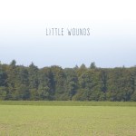 Bobby Barnett - Little Wounds